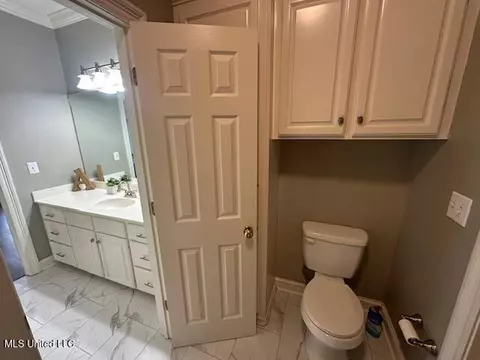 Bath - 117 Peninsula Dr, Brandon, MS 39047 photo 10 of 14