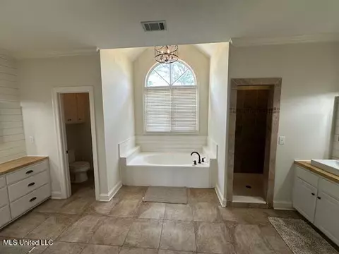Bath - 117 Peninsula Dr, Brandon, MS 39047 photo 2 of 14