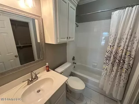 Bath - 117 Peninsula Dr, Brandon, MS 39047 photo 14 of 14