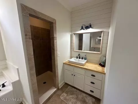Bath - 117 Peninsula Dr, Brandon, MS 39047 photo 3 of 14