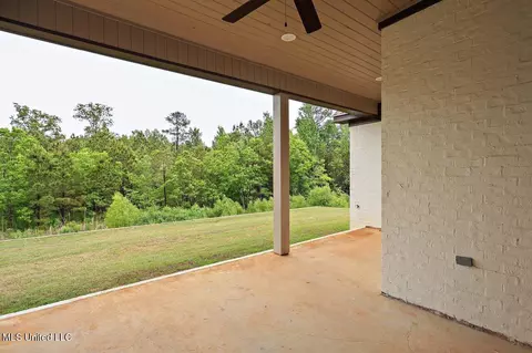 Exterior - 243 Bronson Bnd, Flowood, MS 39232 photo 4 of 7