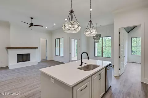 Other - 243 Bronson Bnd, Flowood, MS 39232 photo 2 of 7