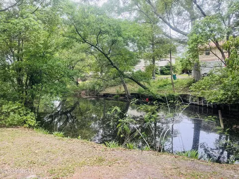 Other - 3919 Riverwood Dr, Moss Point, MS 39563 photo 10 of 11