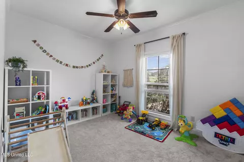 Other - 131 Camden Ln, Madison, MS 39110 photo 13 of 26