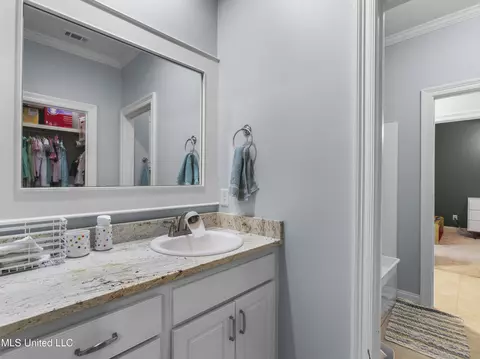 Bath - 131 Camden Ln, Madison, MS 39110 photo 7 of 8