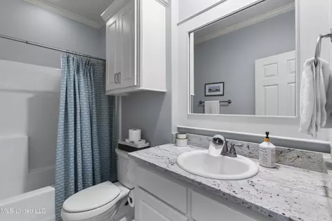 Bath - 131 Camden Ln, Madison, MS 39110 photo 4 of 8