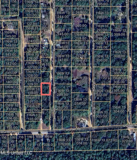 282 Betty Rd, Gore Springs, MS 38929