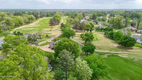 View/Area - 712 Oak Trl, Canton, MS 39046 photo 9 of 11