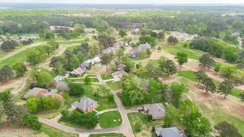 View/Area - 712 Oak Trl, Canton, MS 39046 photo 6 of 11