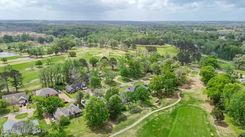 View/Area - 712 Oak Trl, Canton, MS 39046 photo 8 of 11