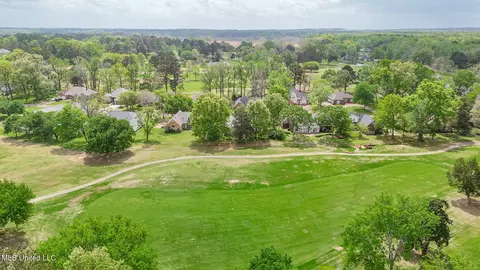 View/Area - 712 Oak Trl, Canton, MS 39046 photo 10 of 11