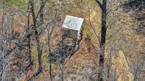 0 E Franklin St, Carthage, MS 39051 photo 7