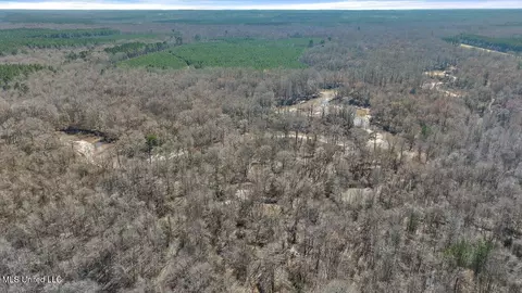 0 E Franklin St, Carthage, MS 39051 photo 2