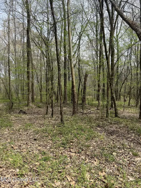 0 E Franklin St, Carthage, MS 39051 photo 12