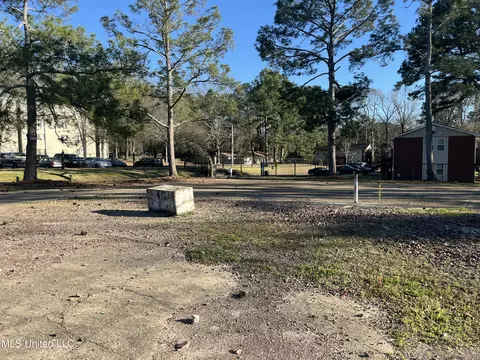 Forest Avenue, Jackson, MS 39206 photo 11