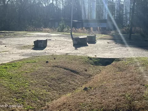 Forest Avenue, Jackson, MS 39206 photo 5
