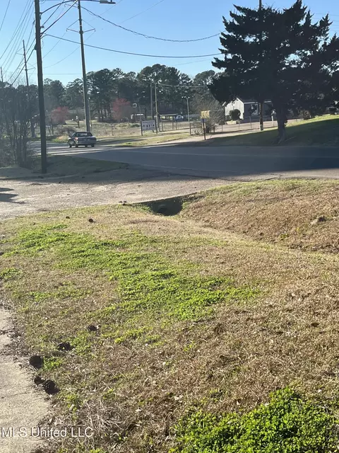 Forest Avenue, Jackson, MS 39206 photo 6