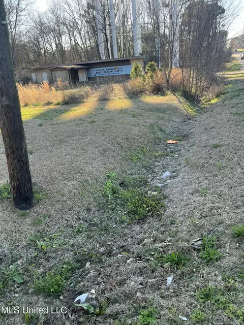 Forest Avenue, Jackson, MS 39206 photo 8