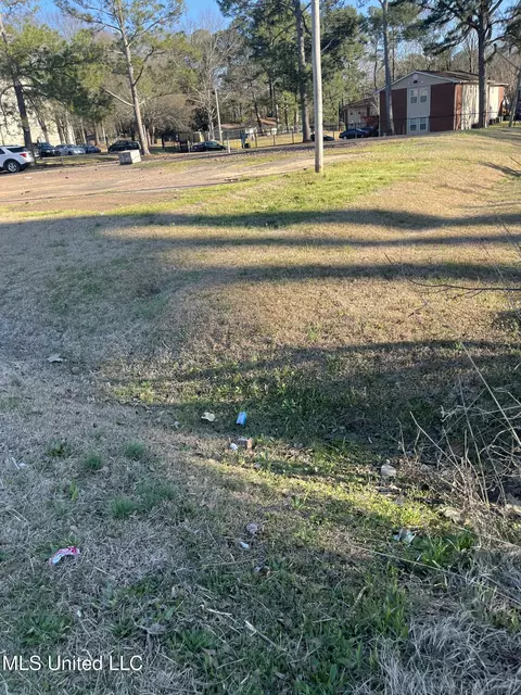 Forest Avenue, Jackson, MS 39206 photo 9