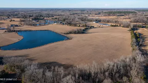 Cane Creek Road, Flora, MS 39071 photo 3