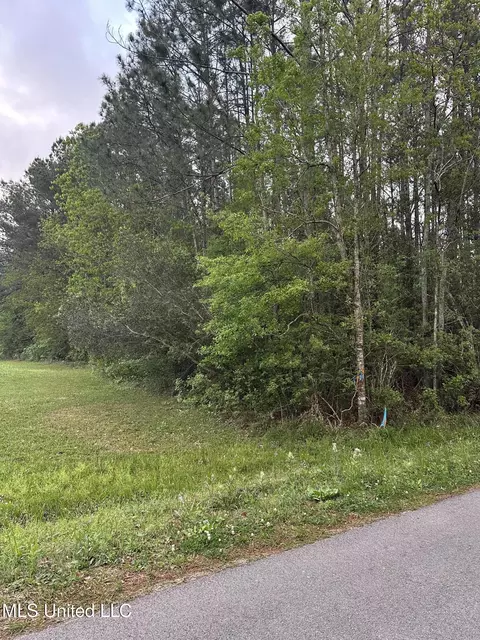 Whitfield Road, Picayune, MS 39466 photo 2