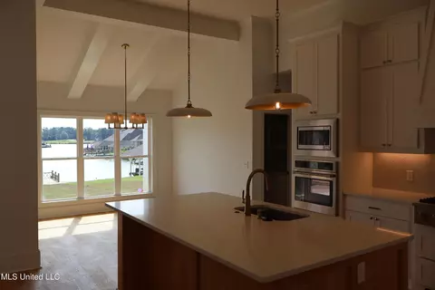 102 Herons Bay Cir, Madison, MS 39110 photo 13