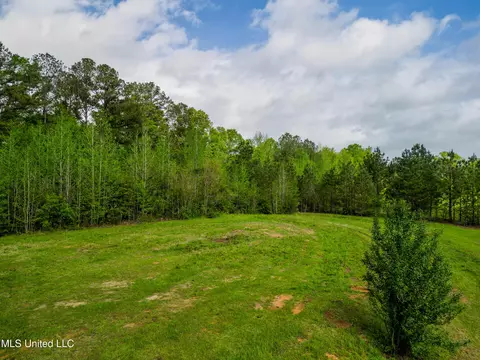 142 Pea Patch Dr, Mendenhall, MS 39114 photo 18