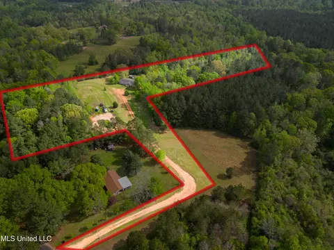 142 Pea Patch Dr, Mendenhall, MS 39114 photo 12