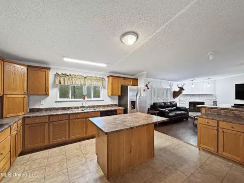 142 Pea Patch Dr, Mendenhall, MS 39114 photo 26