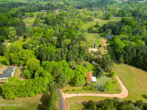 142 Pea Patch Dr, Mendenhall, MS 39114 photo 11