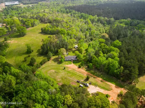 142 Pea Patch Dr, Mendenhall, MS 39114 photo 20