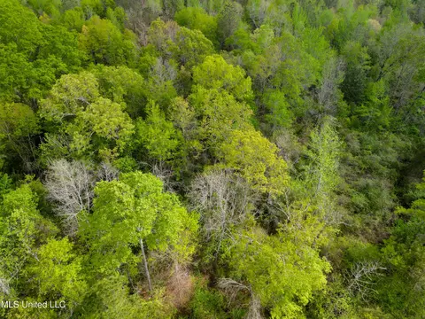142 Pea Patch Dr, Mendenhall, MS 39114 photo 14