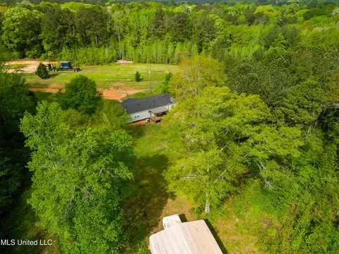 142 Pea Patch Dr, Mendenhall, MS 39114 photo 16