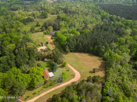 142 Pea Patch Dr, Mendenhall, MS 39114 photo 13