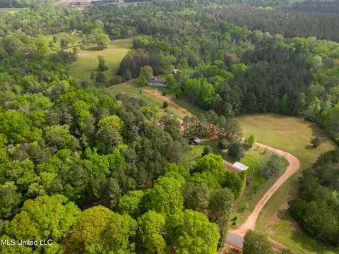 142 Pea Patch Dr, Mendenhall, MS 39114 photo 10