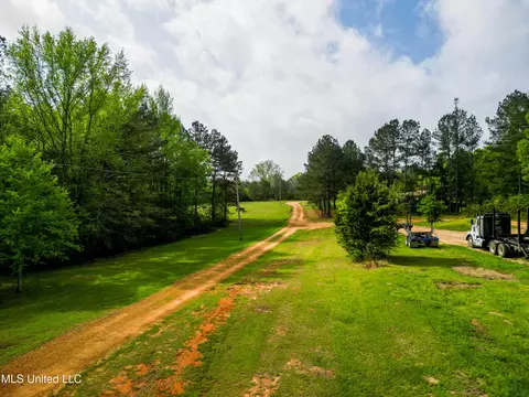 142 Pea Patch Dr, Mendenhall, MS 39114 photo 19