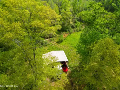 142 Pea Patch Dr, Mendenhall, MS 39114 photo 17