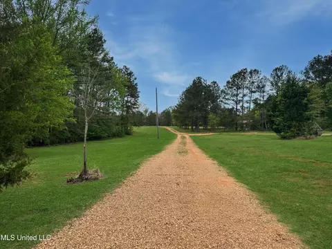 142 Pea Patch Dr, Mendenhall, MS 39114 photo 9
