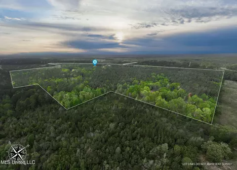 176 Burge And Reyer Rd, Poplarville, MS 39470