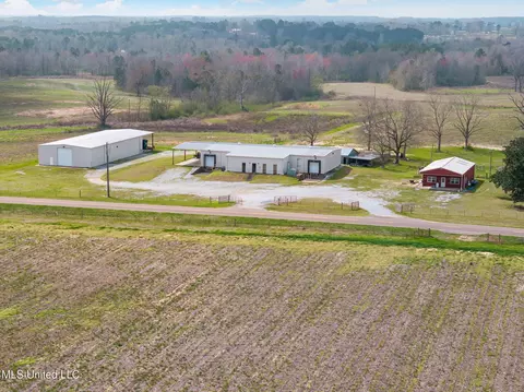 300 Acres - Hwy 532, Mount Olive, MS 39119