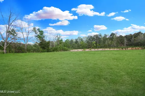 162 Summerlin Rd, Canton, MS 39046 photo 3