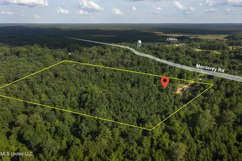 1459 Monterey Rd, Florence, MS 39073 photo 45