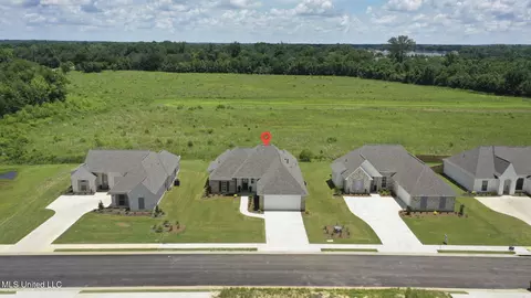 422 Baleigh Way, Canton, MS 39046 photo 48