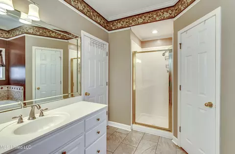 Bath - 252 Terrace Dr, Brandon, MS 39042 photo 2 of 4