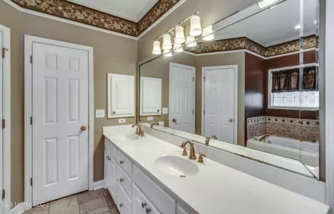 Bath - 252 Terrace Dr, Brandon, MS 39042 photo 1 of 4