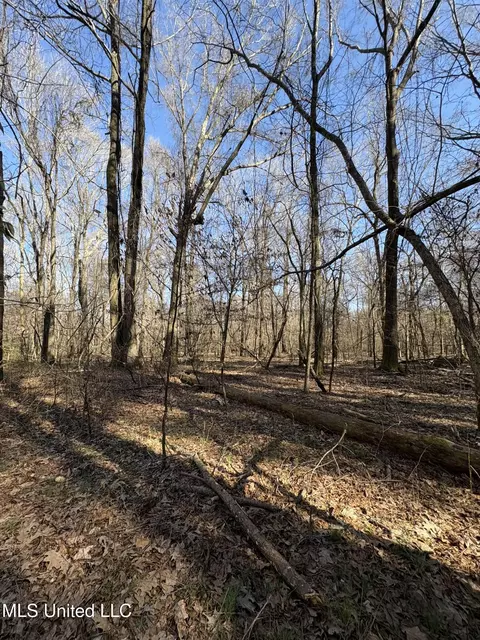 Malmaison Rd, Holcomb, MS 38940 photo 15