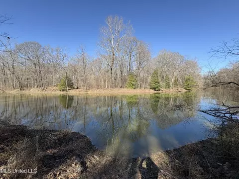 Malmaison Rd, Holcomb, MS 38940