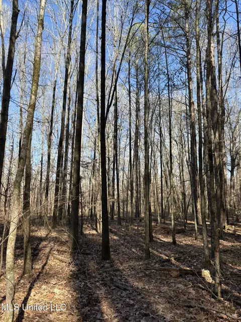 Malmaison Rd, Holcomb, MS 38940 photo 13