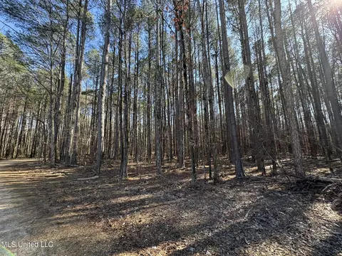 Malmaison Rd, Holcomb, MS 38940 photo 8