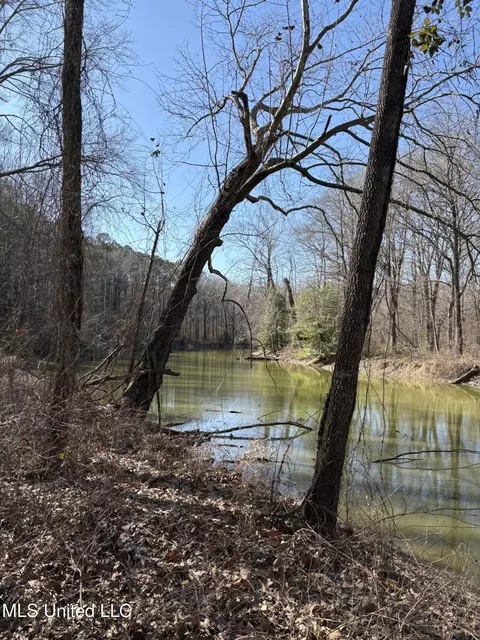 Malmaison Rd, Holcomb, MS 38940 photo 22